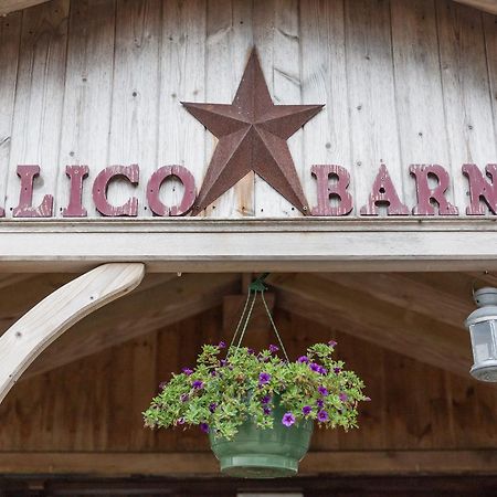 Calico Barn Hostel Widdrington Bagian luar foto